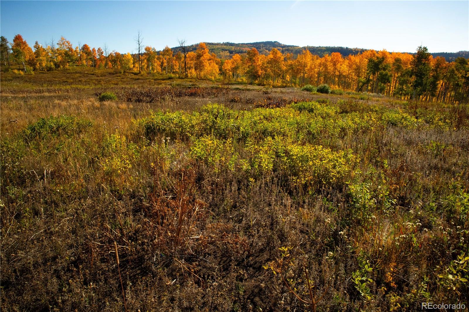 MLS Image #23 for 52700  quaker mtn circle,hayden, Colorado