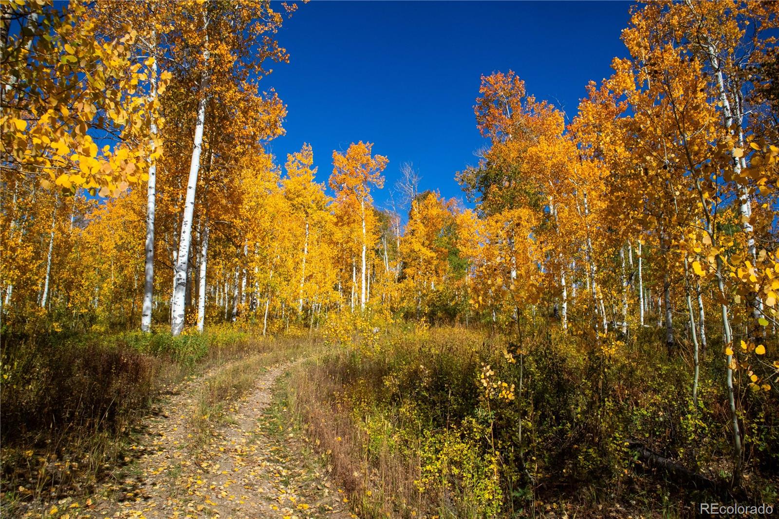 MLS Image #28 for 52700  quaker mtn circle,hayden, Colorado