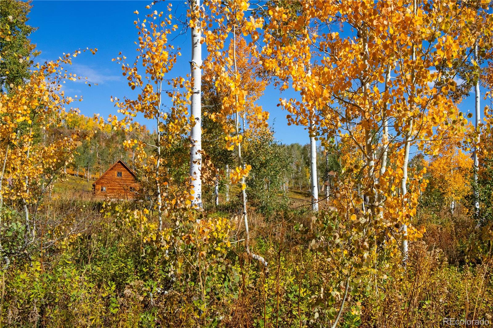 MLS Image #29 for 52700  quaker mtn circle,hayden, Colorado