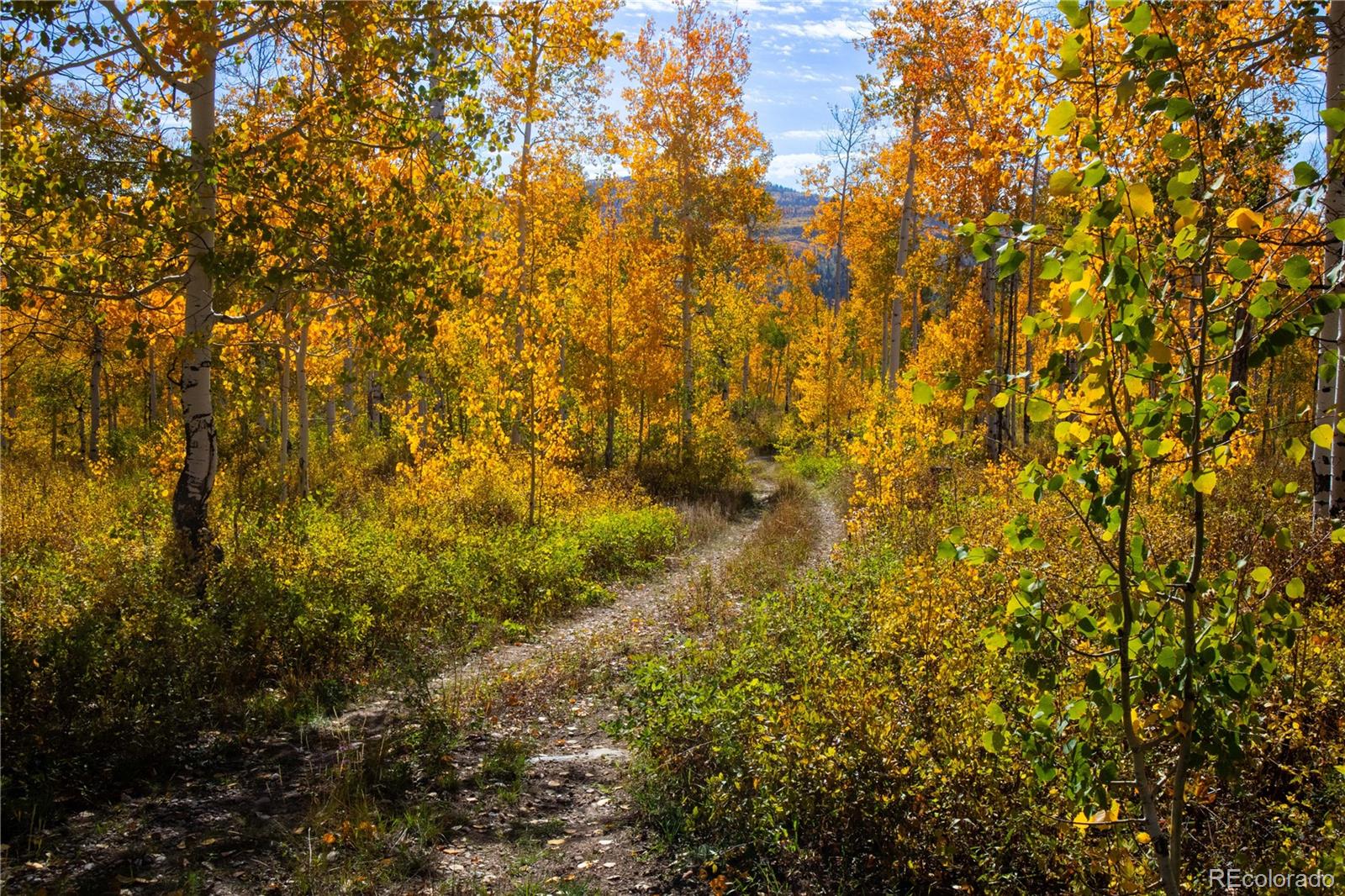 MLS Image #30 for 52700  quaker mtn circle,hayden, Colorado