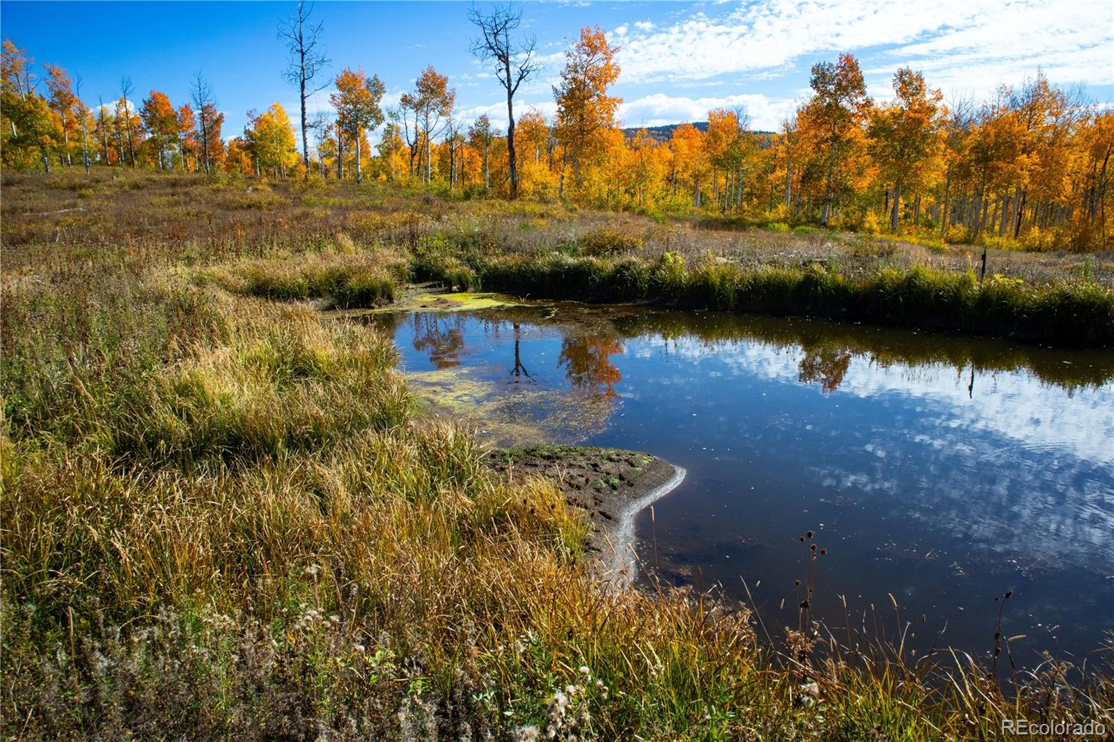 MLS Image #32 for 52700  quaker mtn circle,hayden, Colorado
