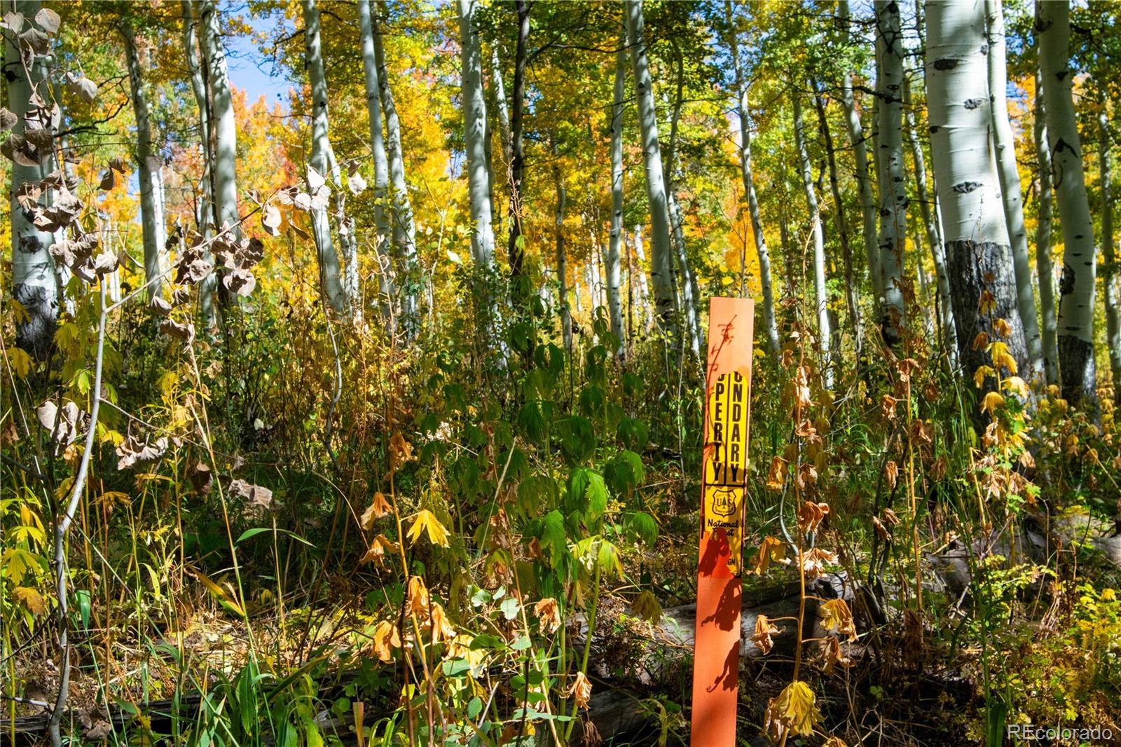 MLS Image #33 for 52700  quaker mtn circle,hayden, Colorado