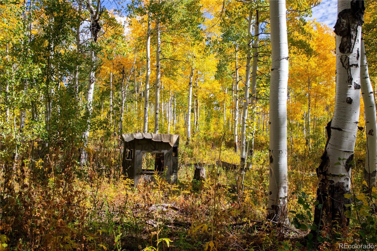 MLS Image #34 for 52700  quaker mtn circle,hayden, Colorado