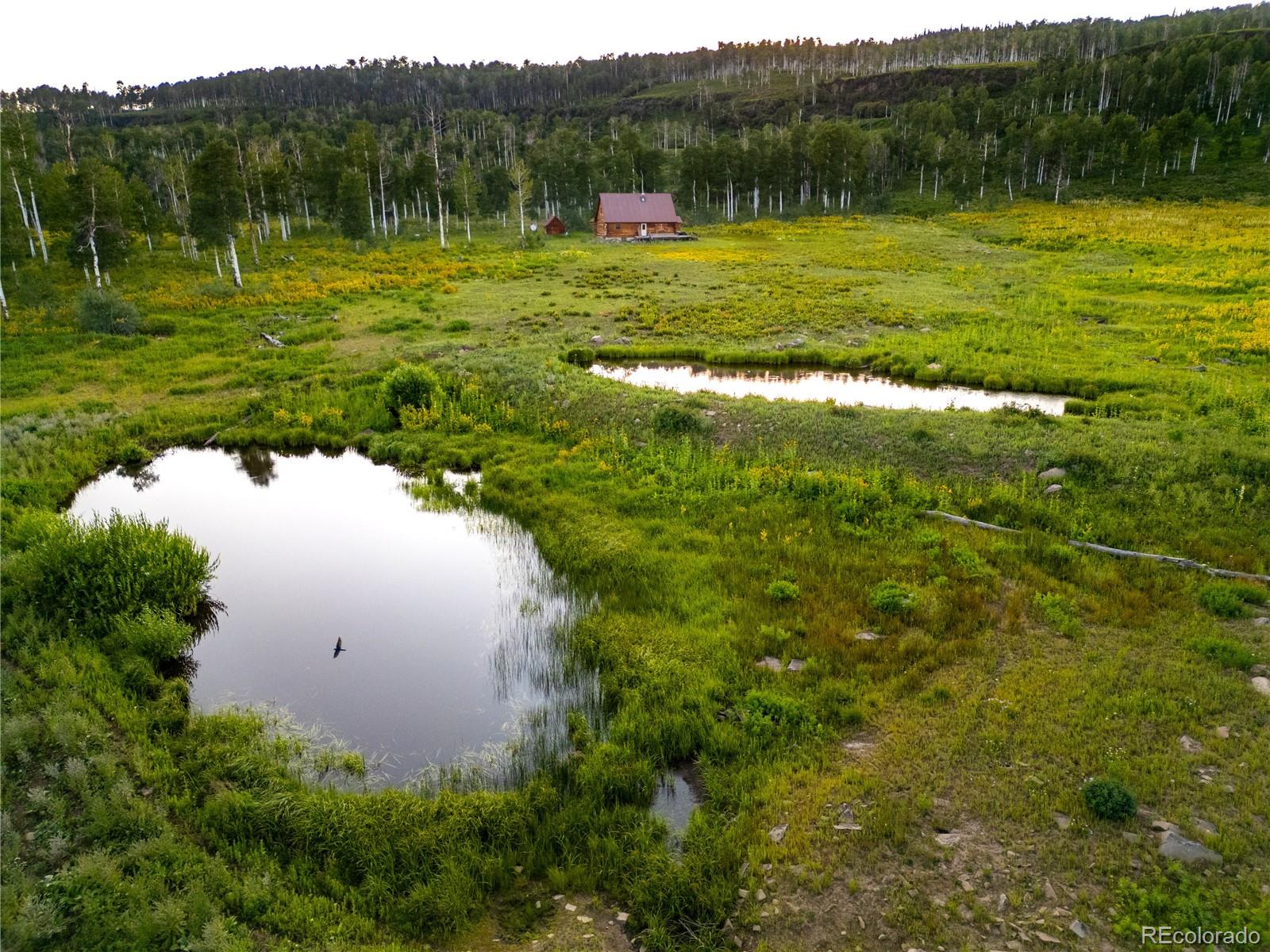 MLS Image #4 for 52700  quaker mtn circle,hayden, Colorado