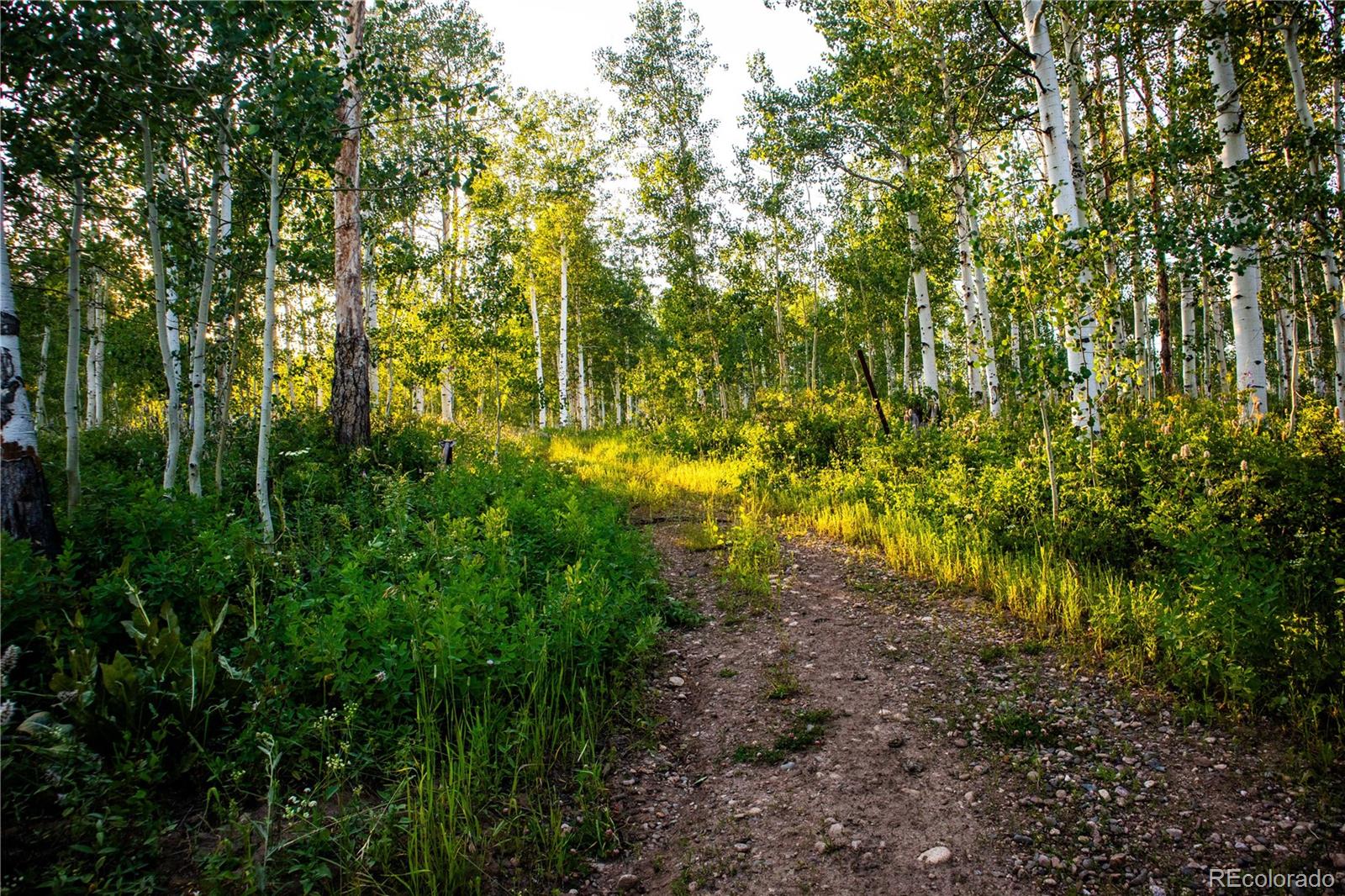 MLS Image #6 for 52700  quaker mtn circle,hayden, Colorado