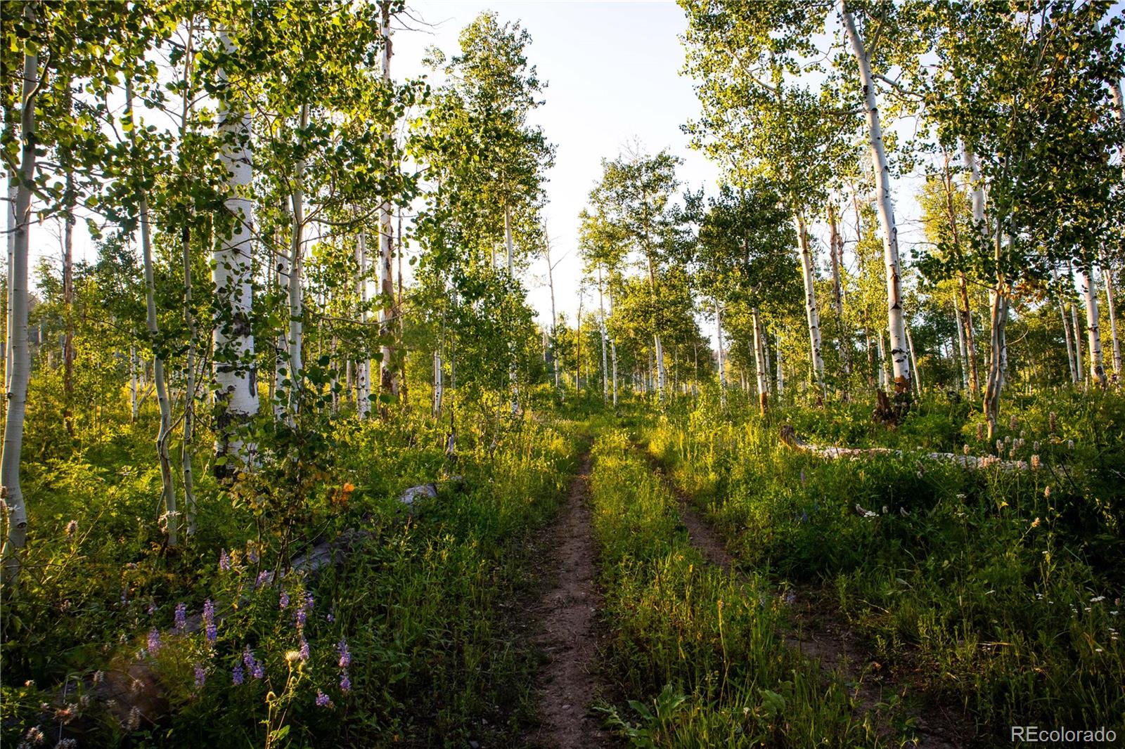MLS Image #7 for 52700  quaker mtn circle,hayden, Colorado