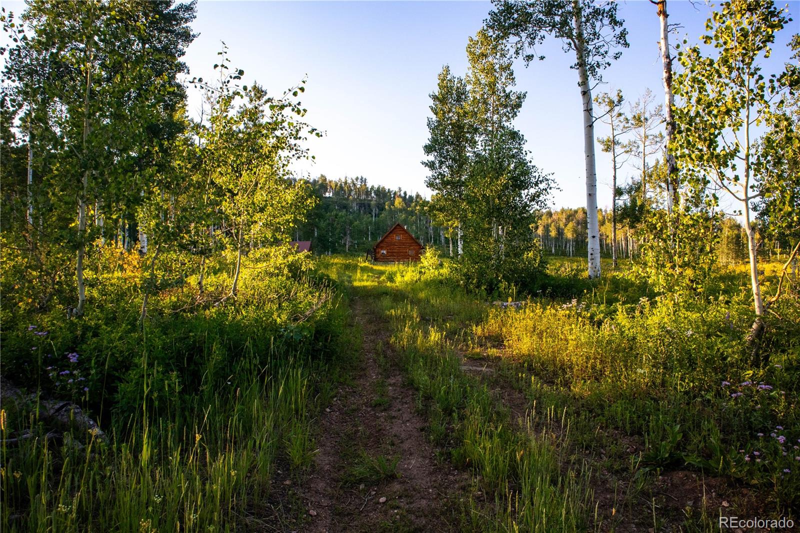 MLS Image #8 for 52700  quaker mtn circle,hayden, Colorado