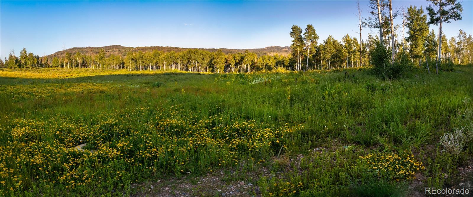 MLS Image #9 for 52700  quaker mtn circle,hayden, Colorado