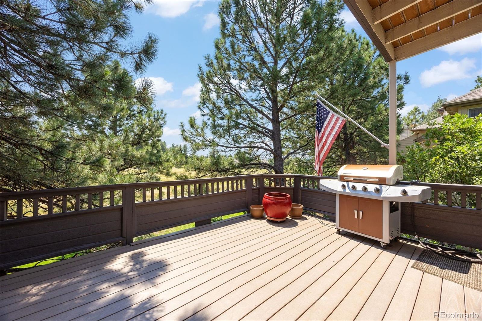 MLS Image #41 for 4212  morning star drive,castle rock, Colorado