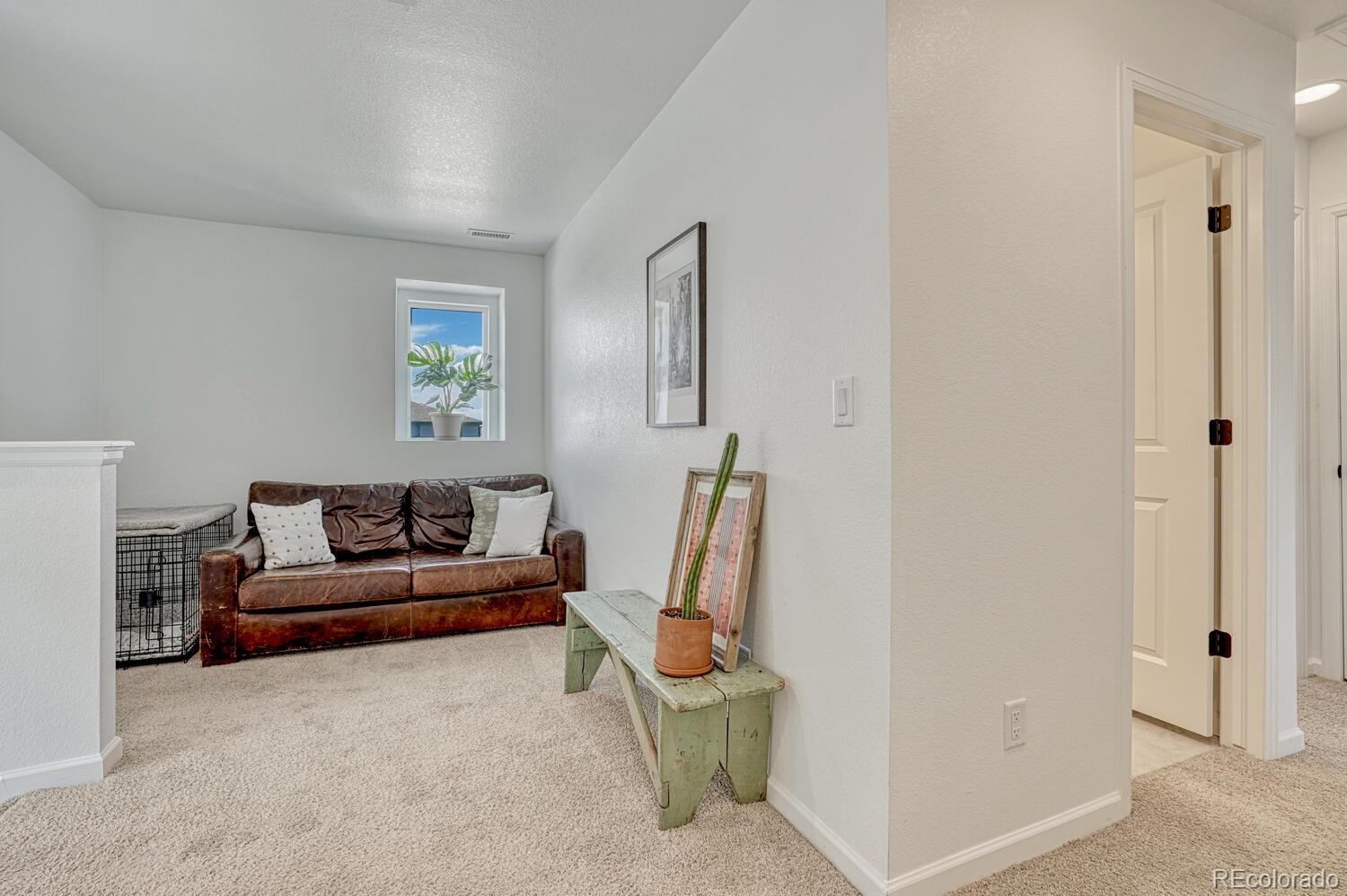 MLS Image #12 for 17396  hop clover avenue,parker, Colorado
