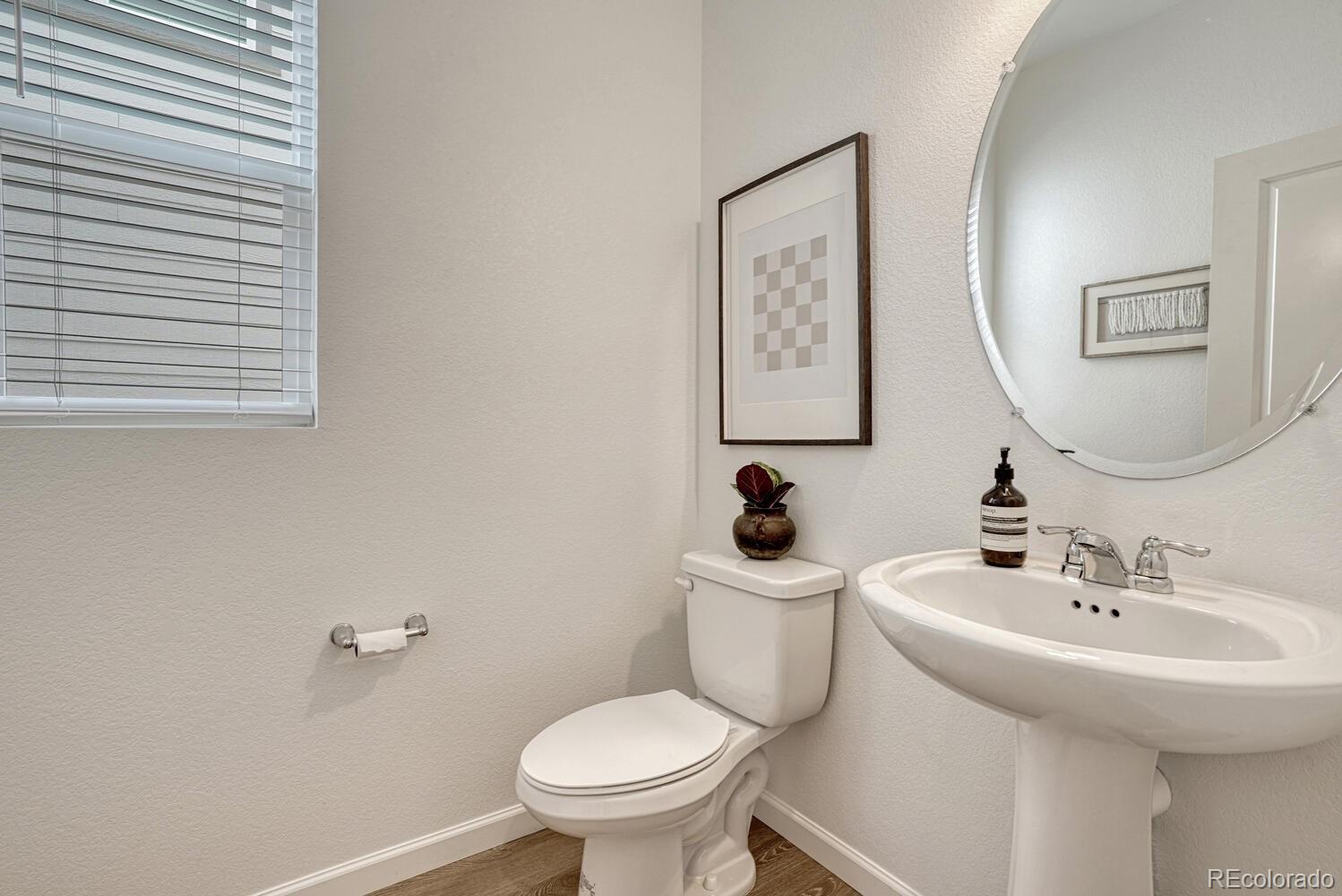 MLS Image #14 for 17396  hop clover avenue,parker, Colorado