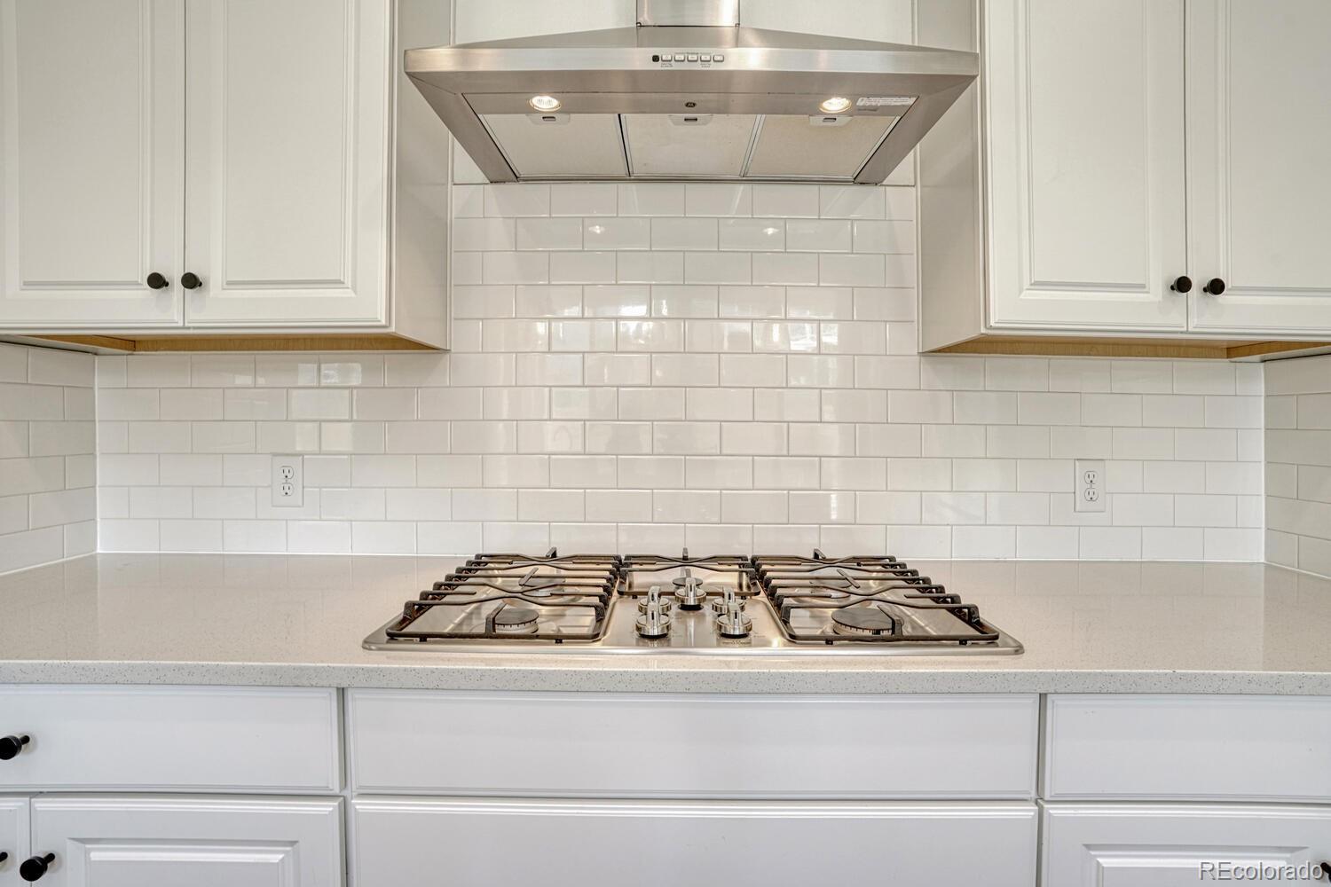 MLS Image #21 for 17396  hop clover avenue,parker, Colorado
