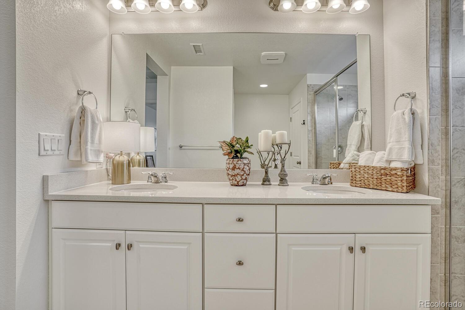MLS Image #23 for 17396  hop clover avenue,parker, Colorado