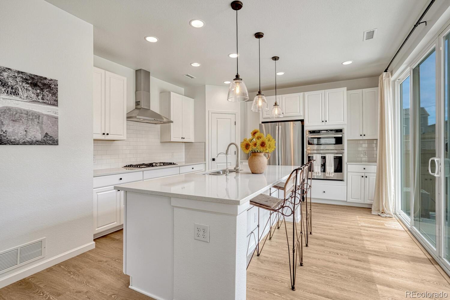 MLS Image #4 for 17396  hop clover avenue,parker, Colorado