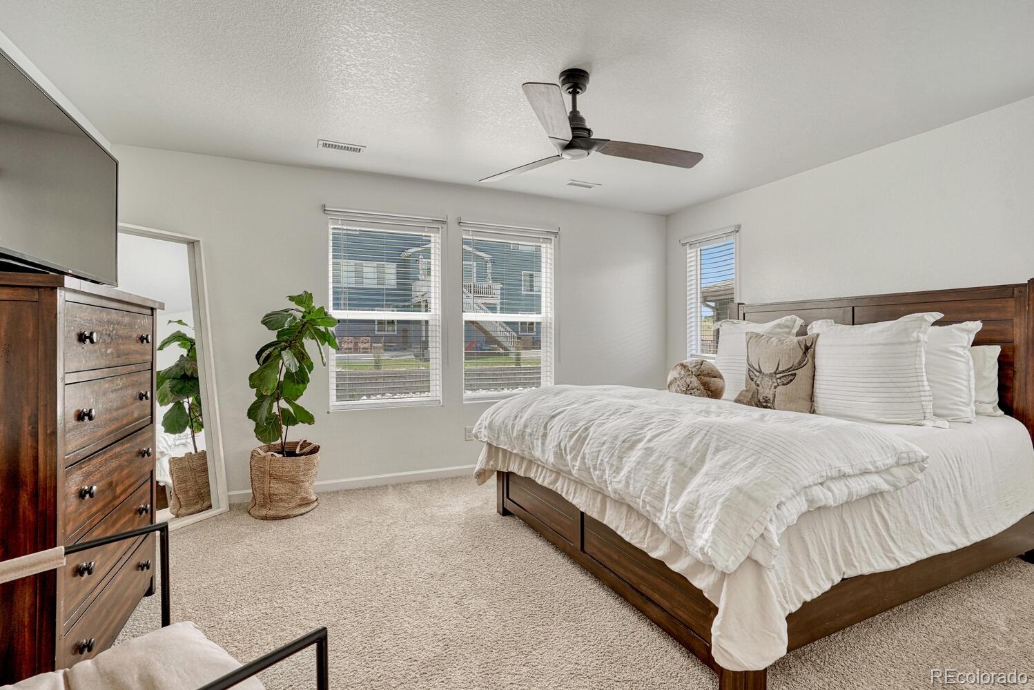 MLS Image #6 for 17396  hop clover avenue,parker, Colorado
