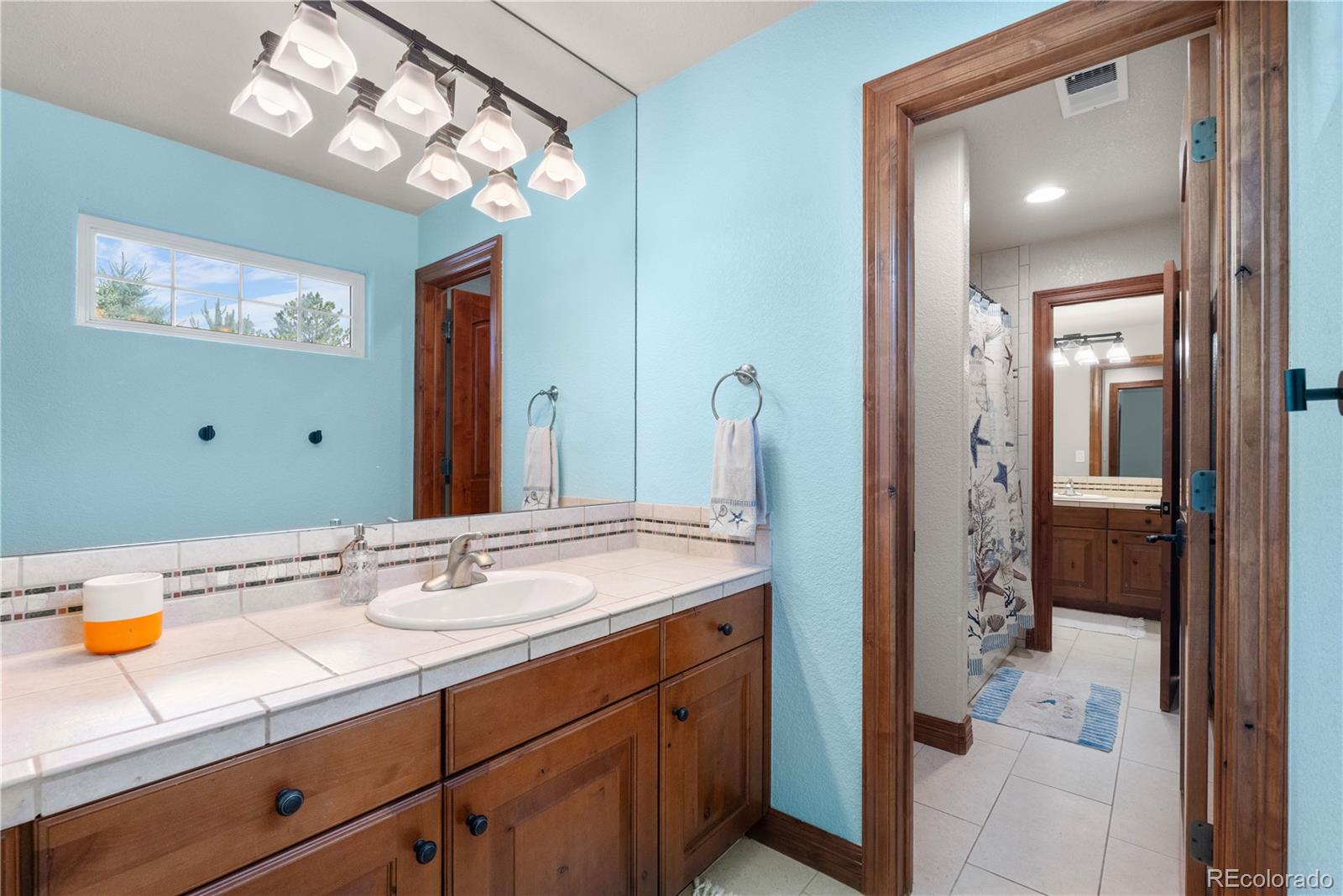 MLS Image #33 for 5159  serene view way,parker, Colorado