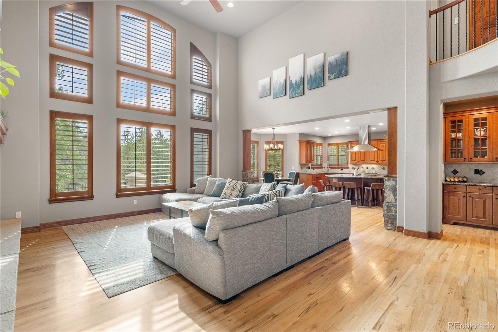 MLS Image #4 for 5159  serene view way,parker, Colorado