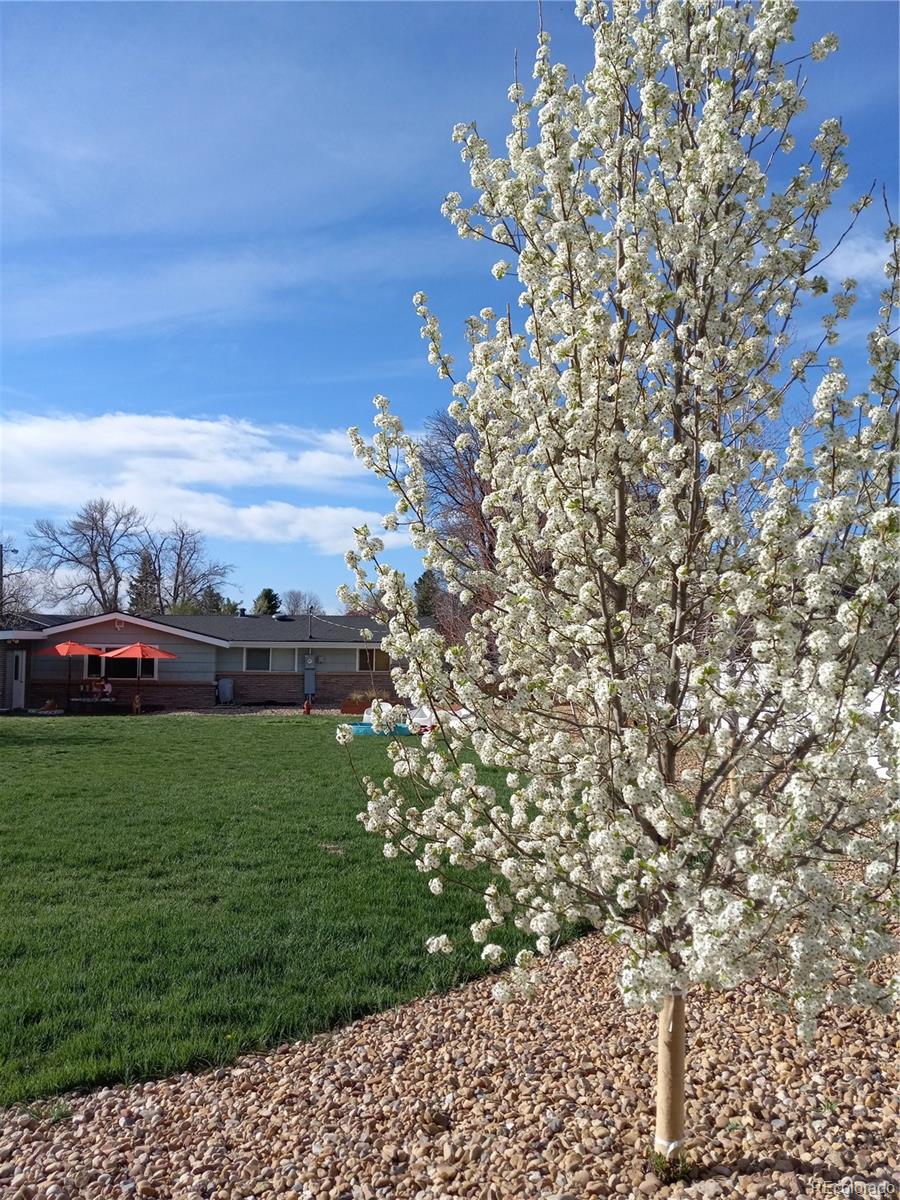 MLS Image #40 for 8455 w belmar avenue,lakewood, Colorado