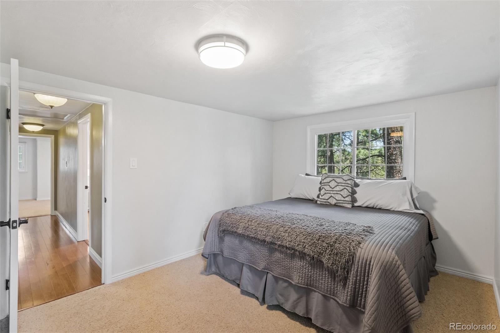 MLS Image #27 for 1260  timber vallety ,colorado springs, Colorado