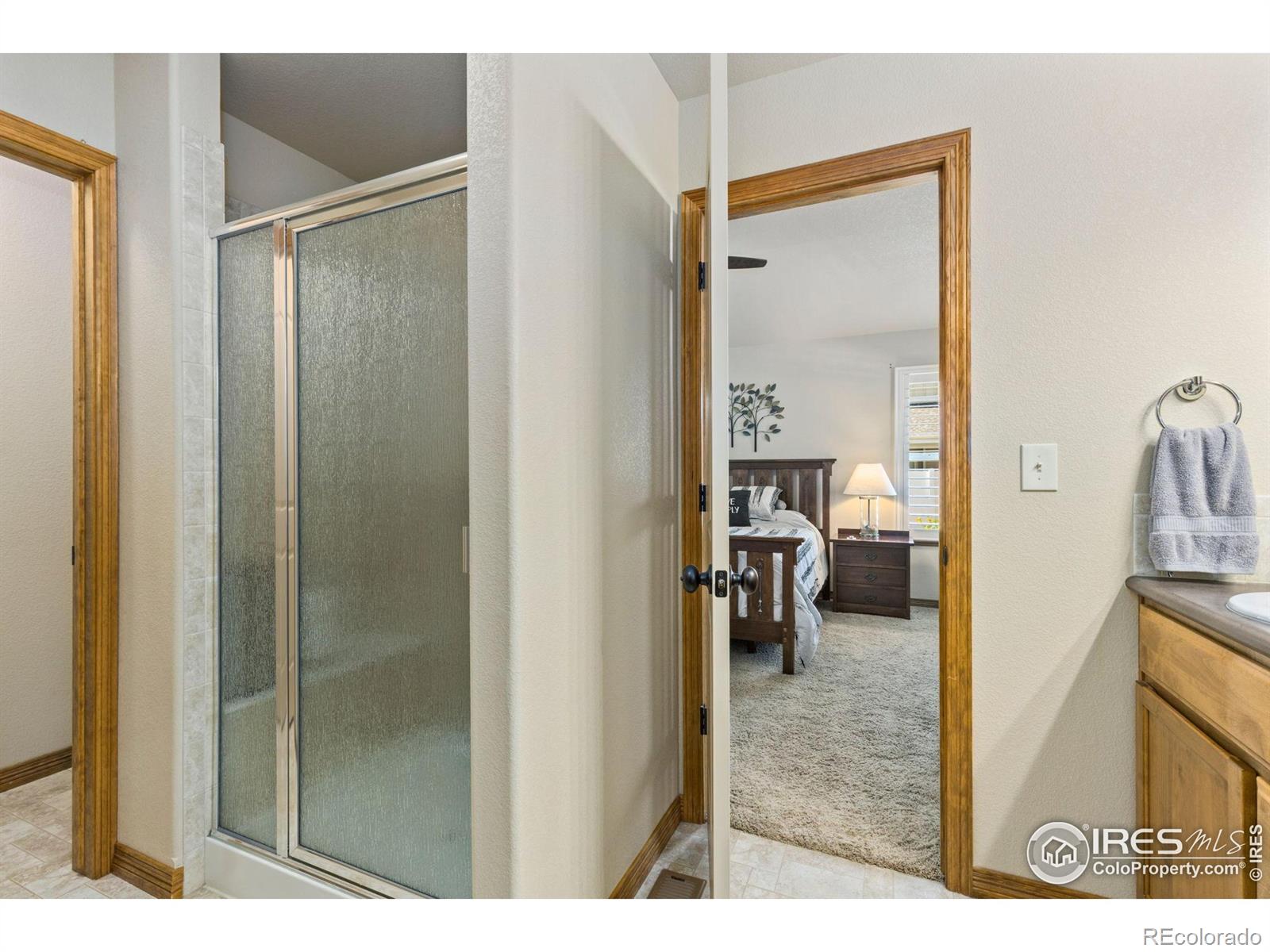 MLS Image #21 for 1613  alpine avenue,berthoud, Colorado