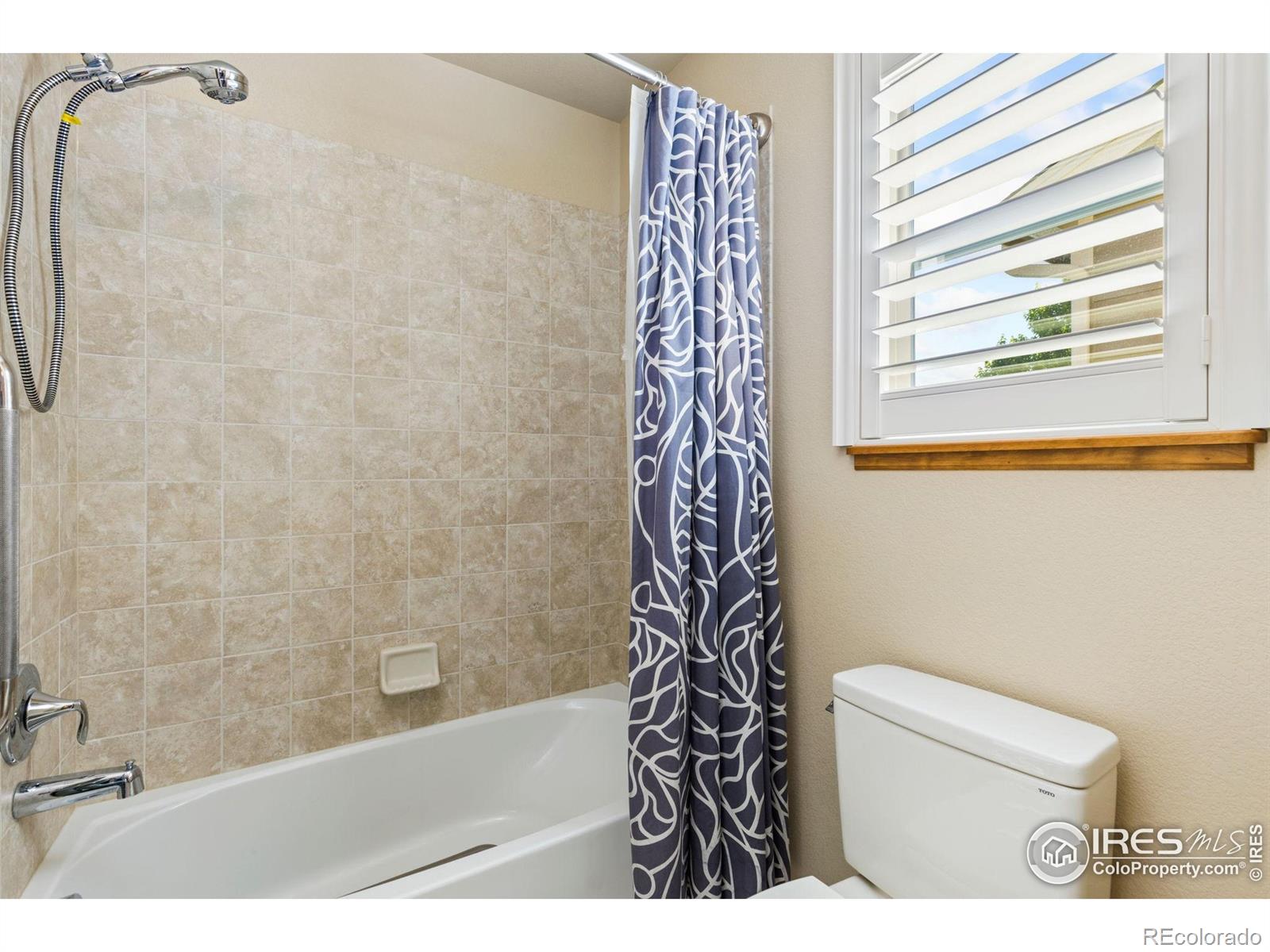 MLS Image #6 for 1613  alpine avenue,berthoud, Colorado