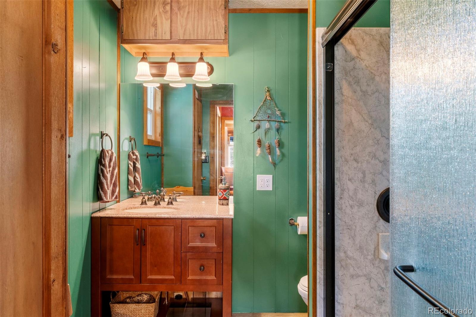 MLS Image #17 for 546  pulver road,lake george, Colorado