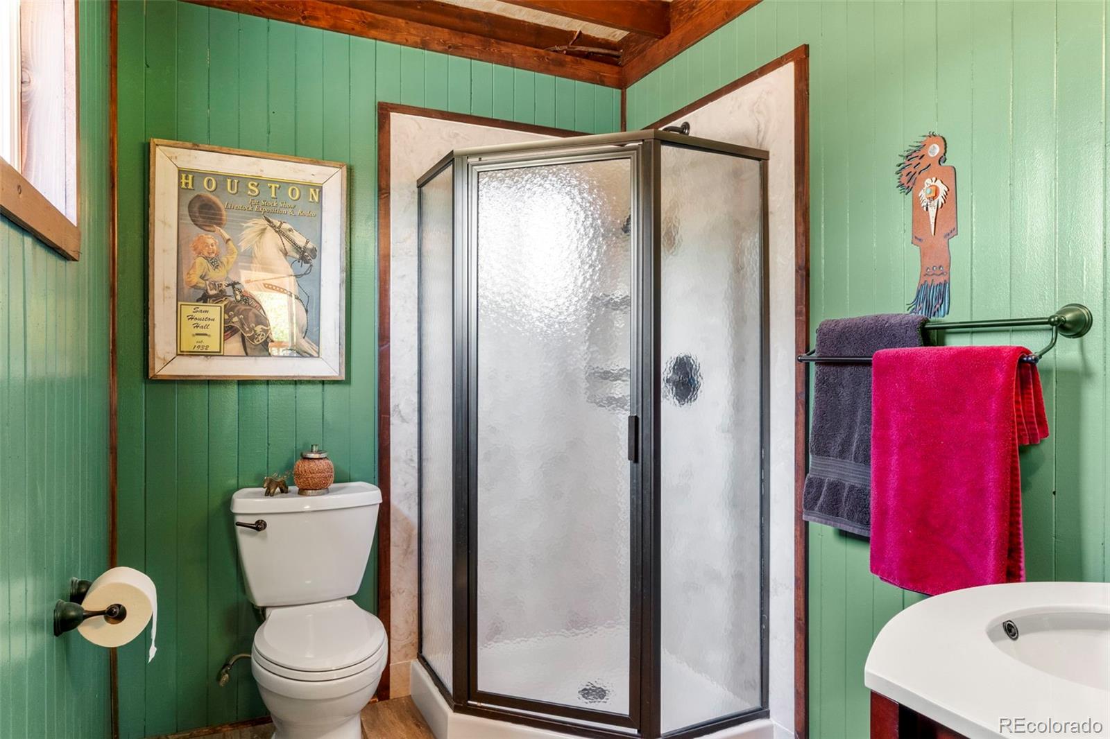 MLS Image #18 for 546  pulver road,lake george, Colorado