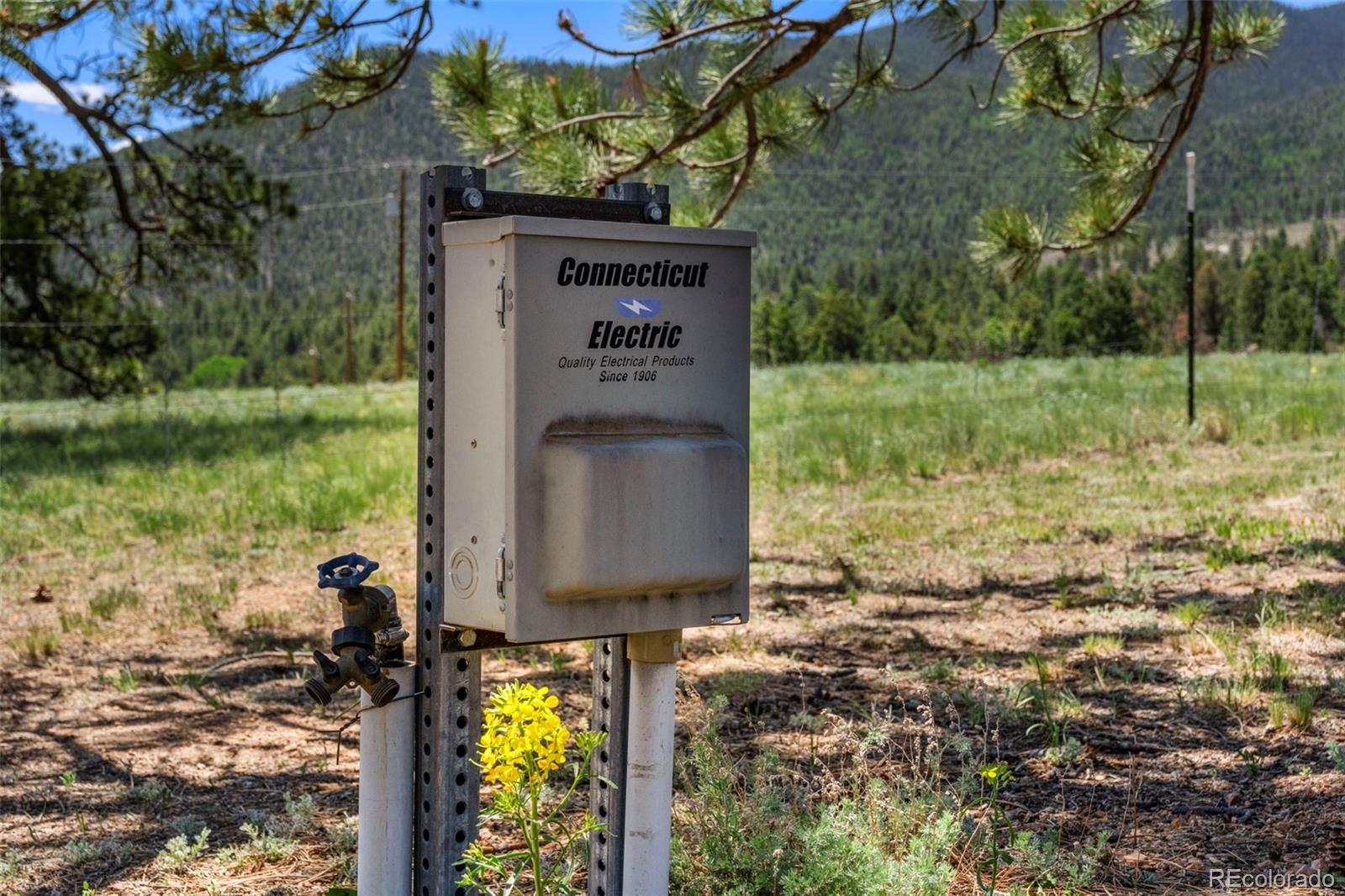 MLS Image #25 for 546  pulver road,lake george, Colorado