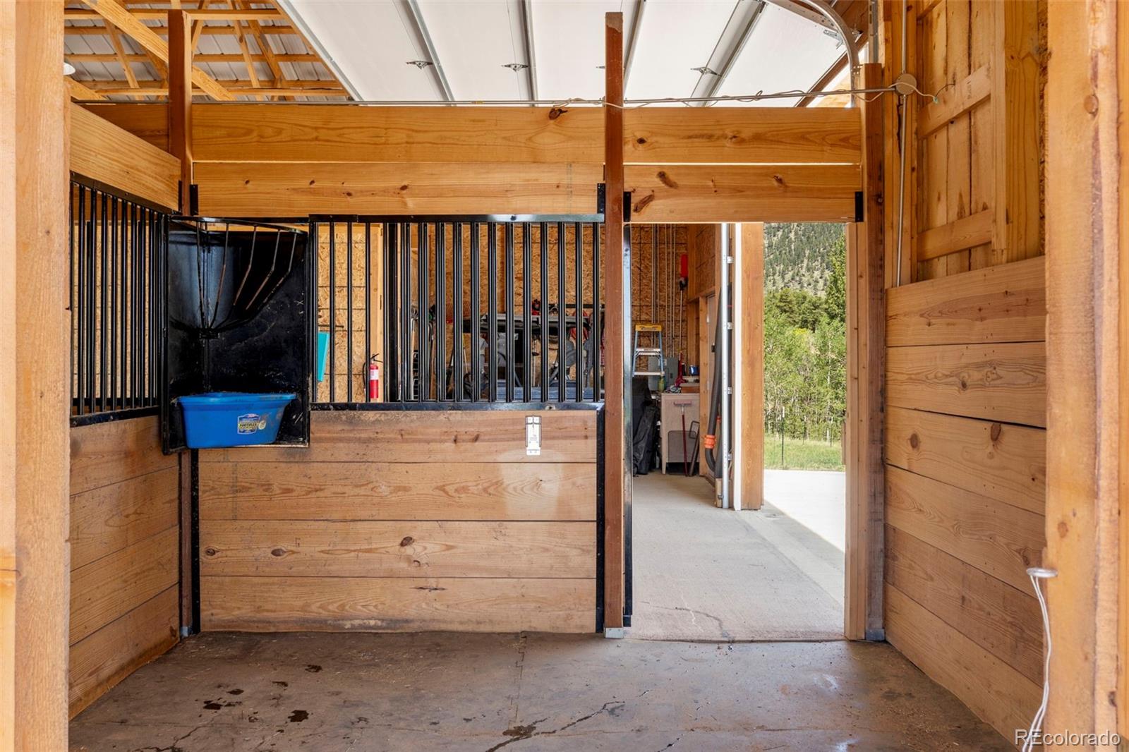 MLS Image #32 for 546  pulver road,lake george, Colorado