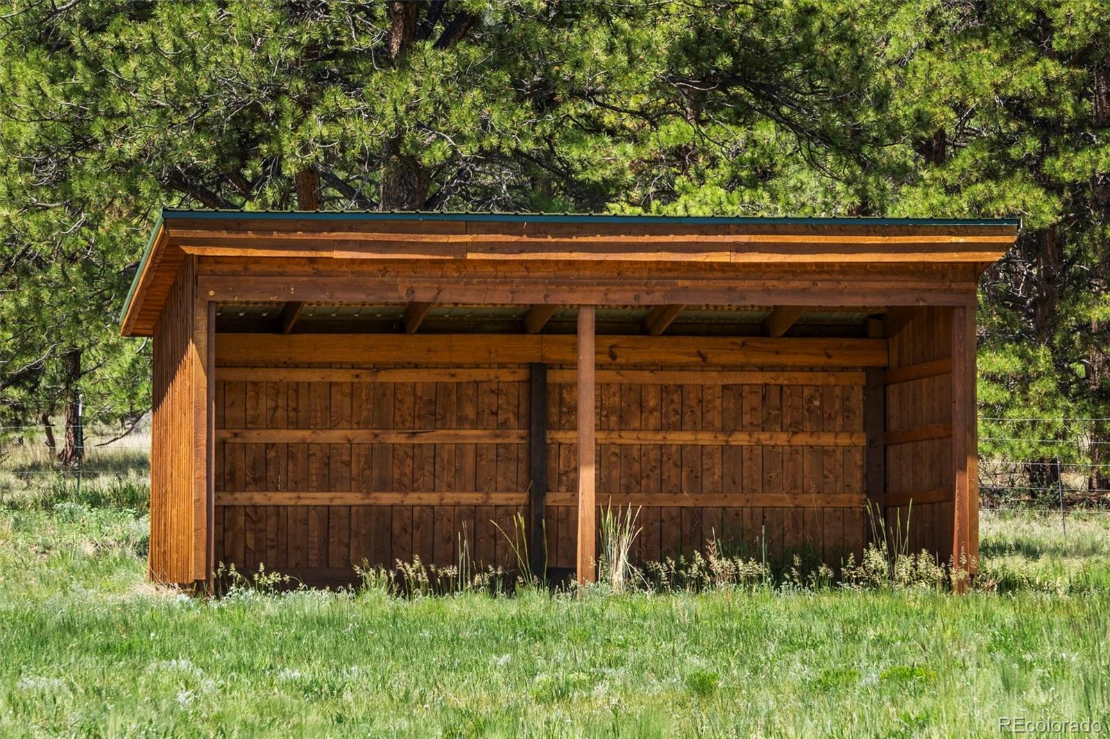 MLS Image #35 for 546  pulver road,lake george, Colorado