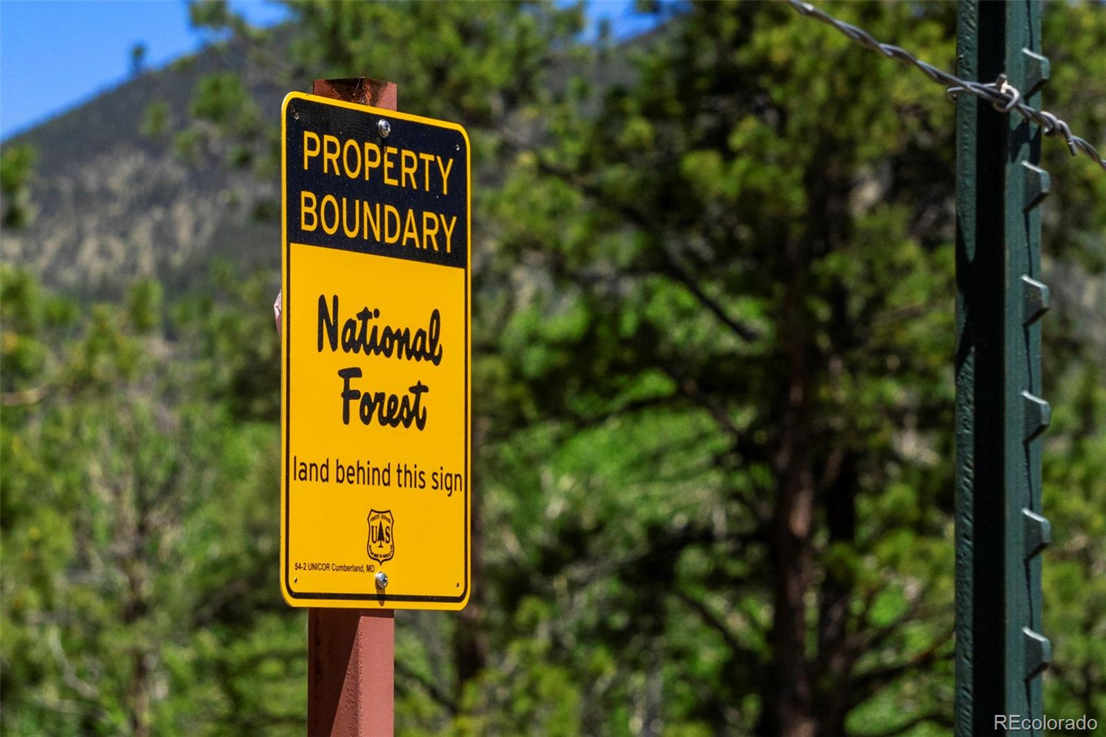 MLS Image #36 for 546  pulver road,lake george, Colorado
