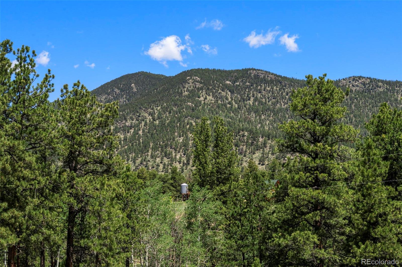 MLS Image #37 for 546  pulver road,lake george, Colorado