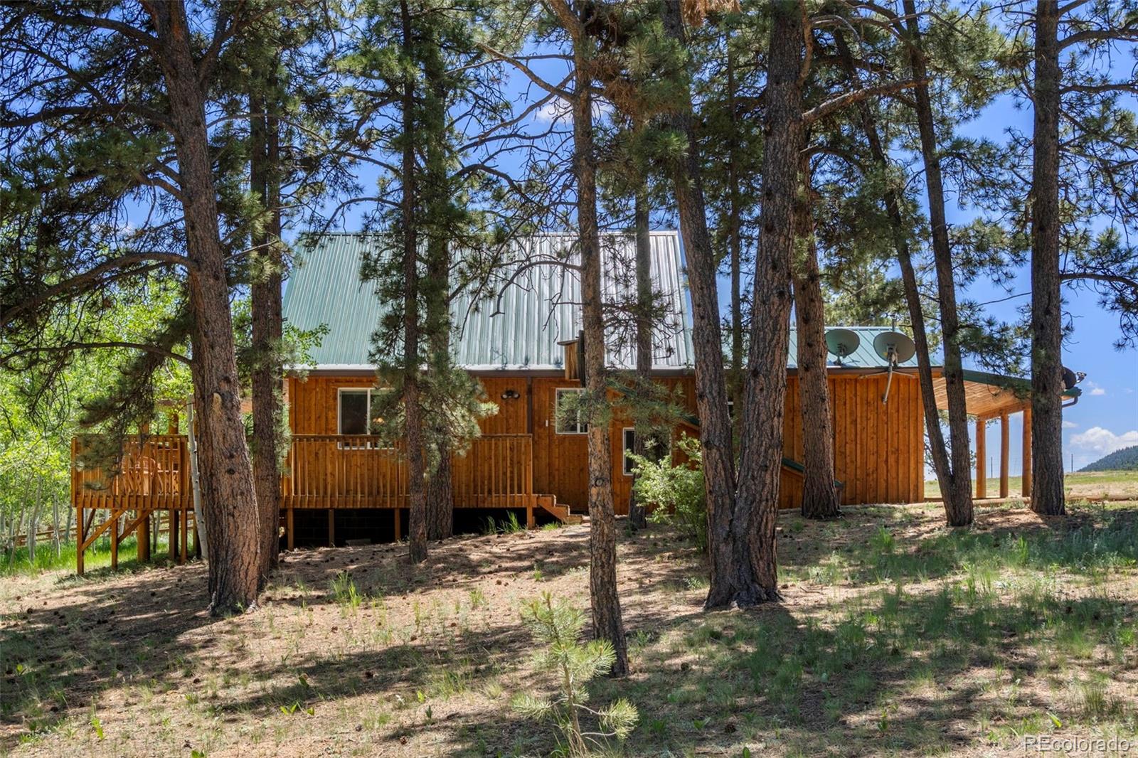 MLS Image #4 for 546  pulver road,lake george, Colorado