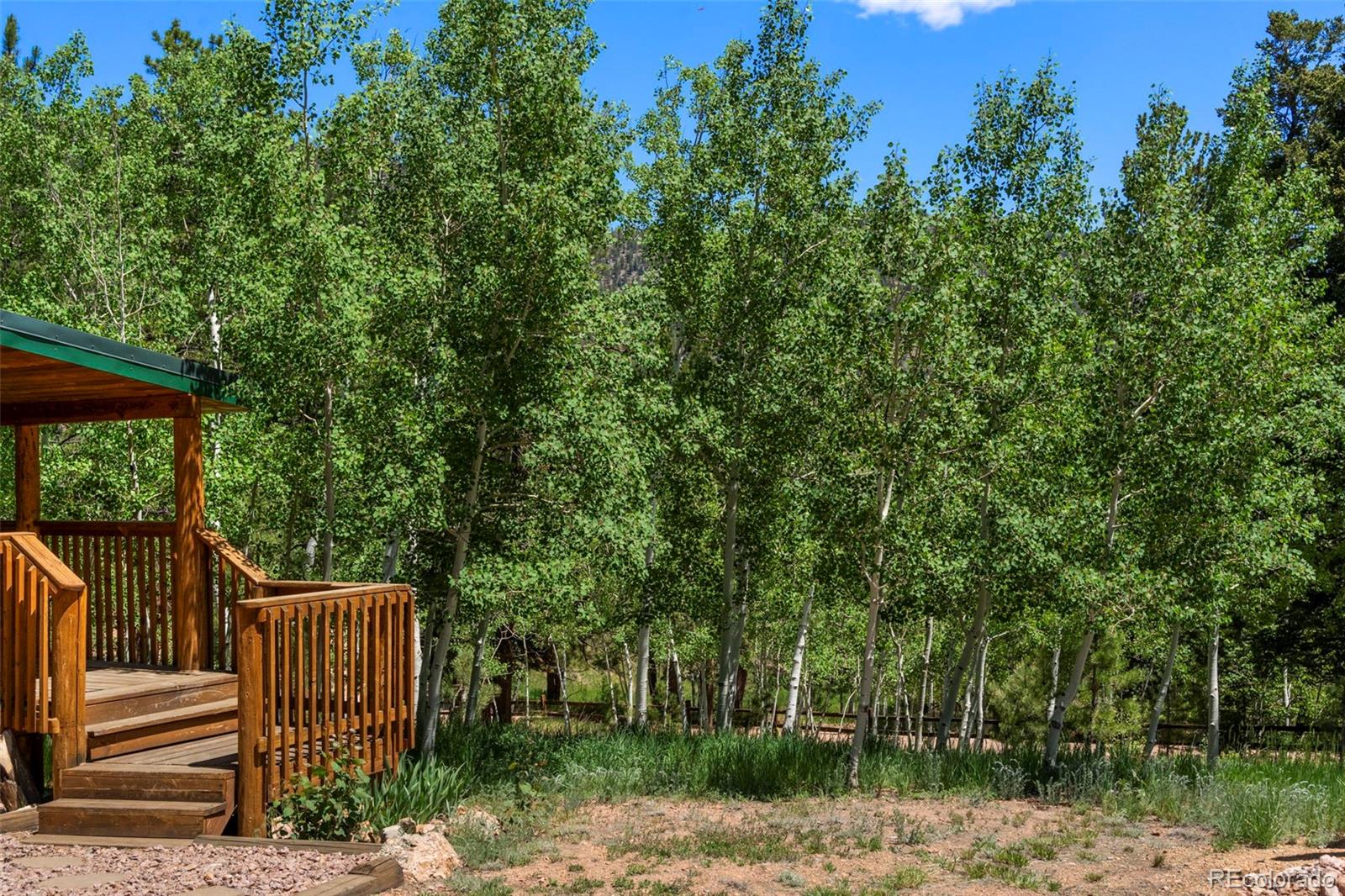MLS Image #5 for 546  pulver road,lake george, Colorado