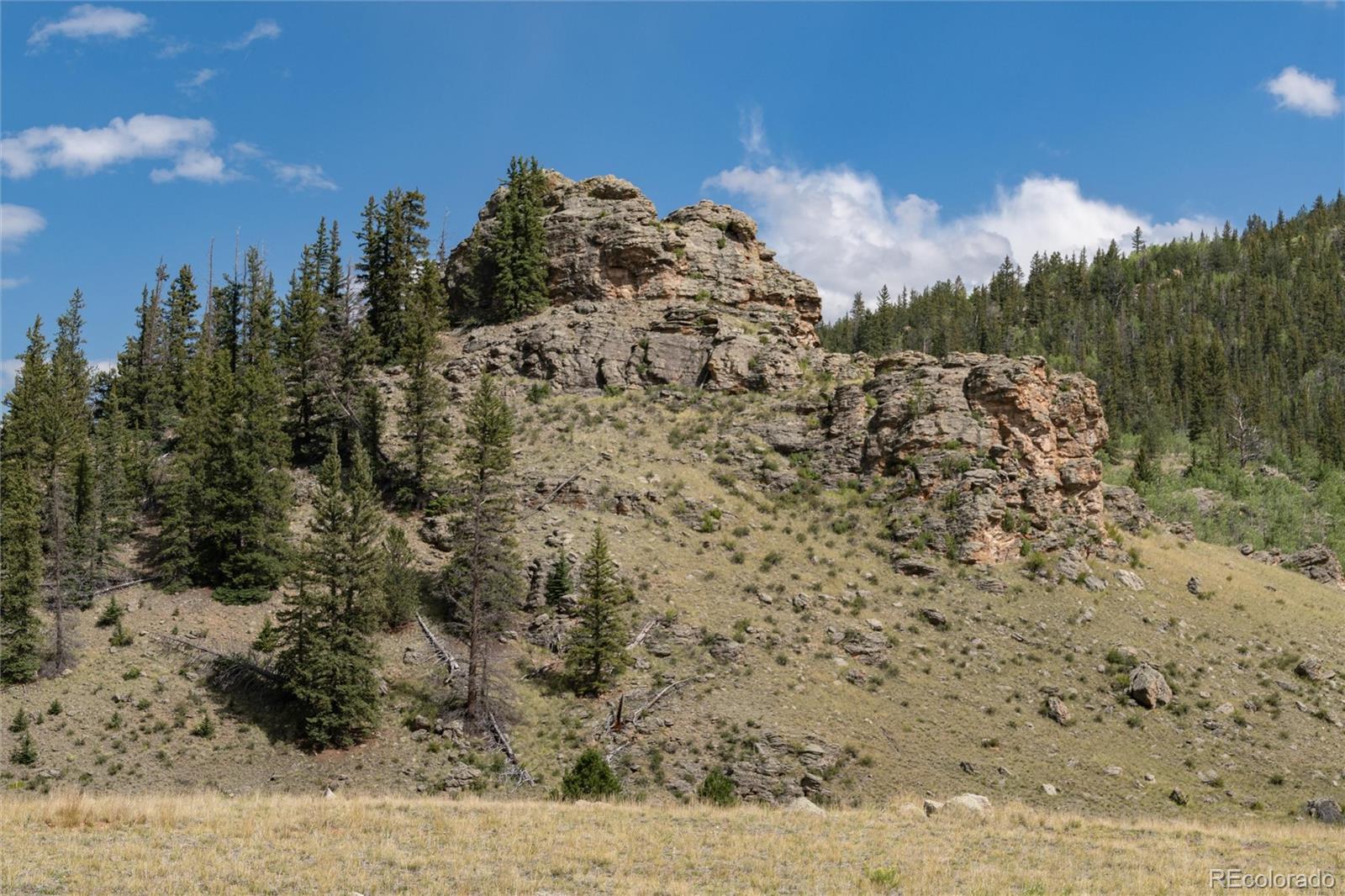 MLS Image #1 for 63  welsh cob lane,como, Colorado
