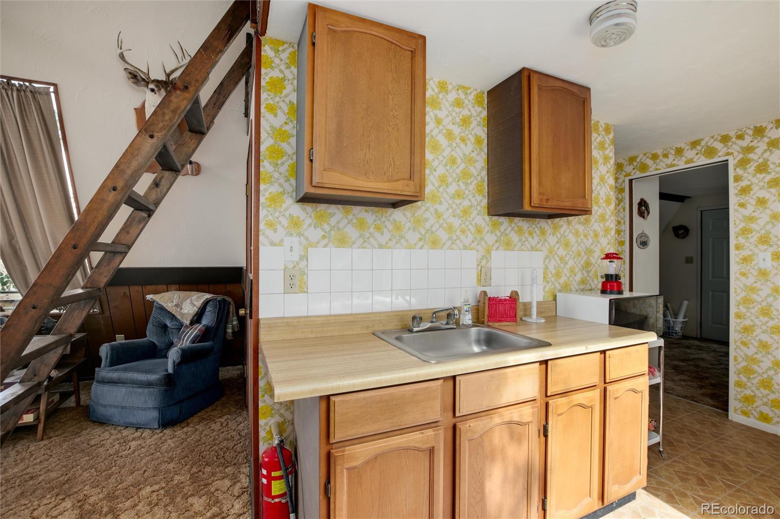 MLS Image #27 for 63  welsh cob lane,como, Colorado