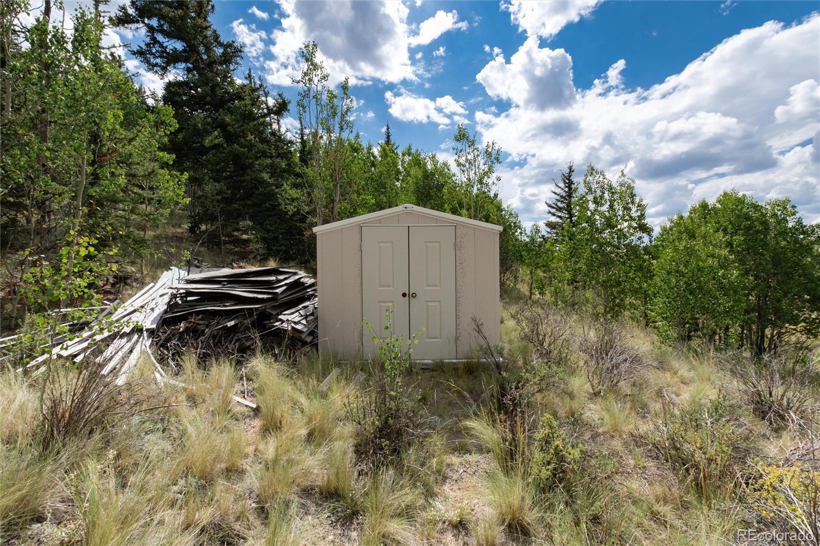 MLS Image #3 for 63  welsh cob lane,como, Colorado