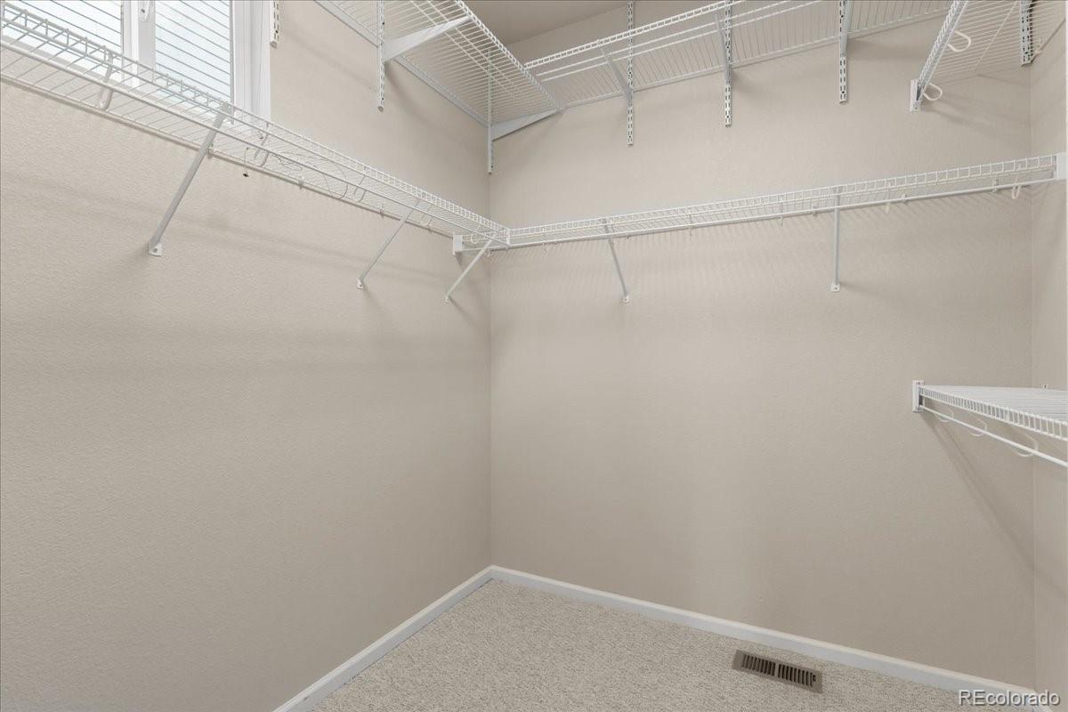 MLS Image #16 for 3632  cassiopeia lane,fort collins, Colorado