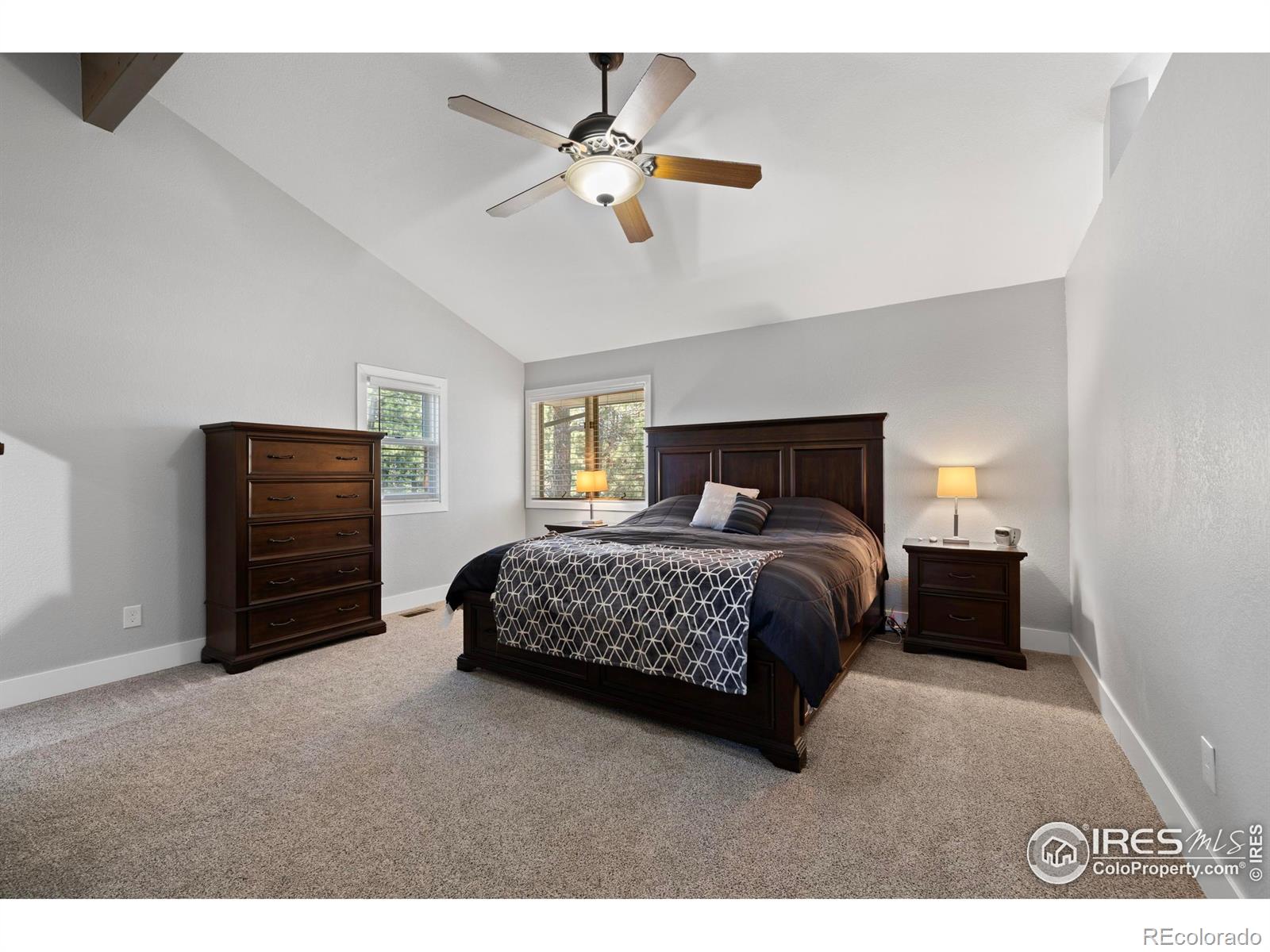 MLS Image #12 for 8987  village pines circle,franktown, Colorado