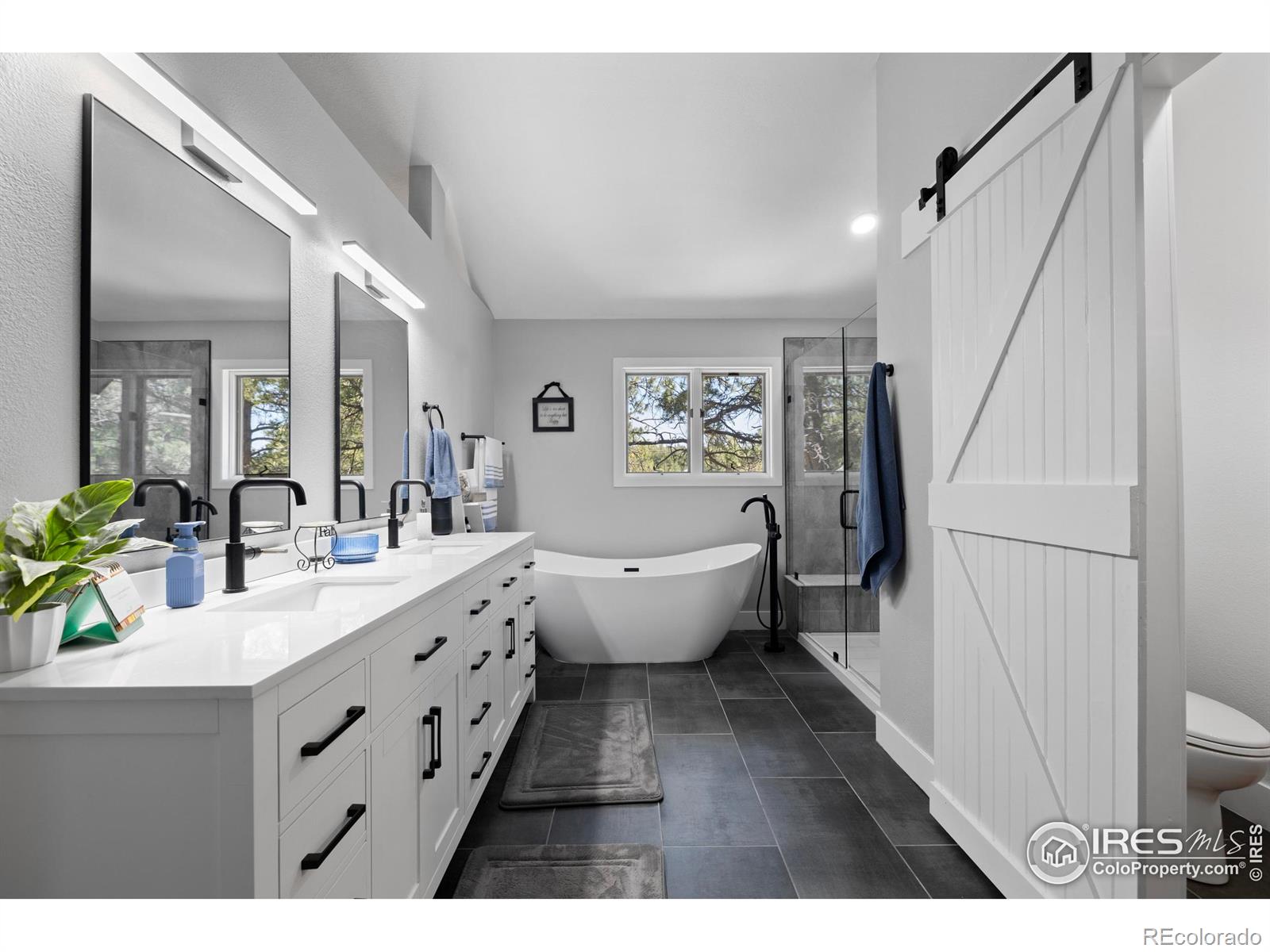 MLS Image #13 for 8987  village pines circle,franktown, Colorado