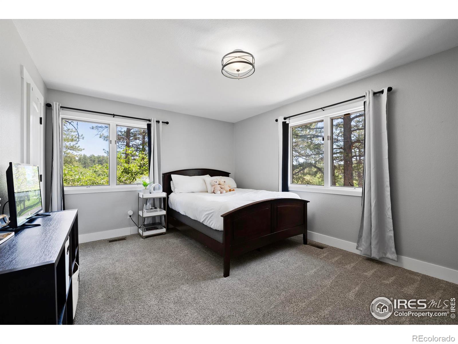 MLS Image #16 for 8987  village pines circle,franktown, Colorado