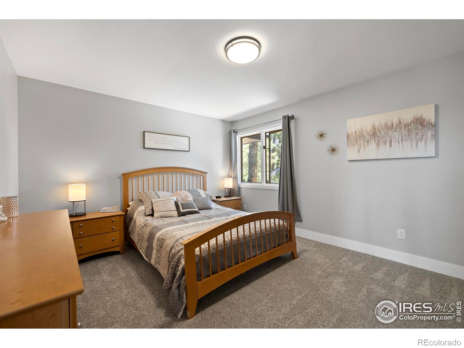 MLS Image #17 for 8987  village pines circle,franktown, Colorado