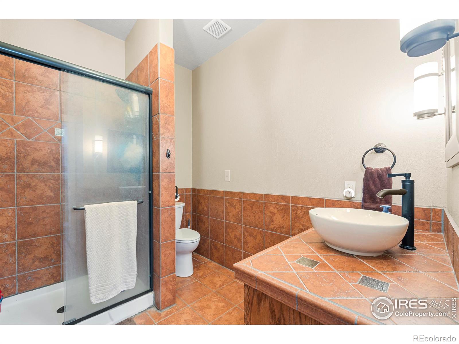 MLS Image #21 for 8987  village pines circle,franktown, Colorado