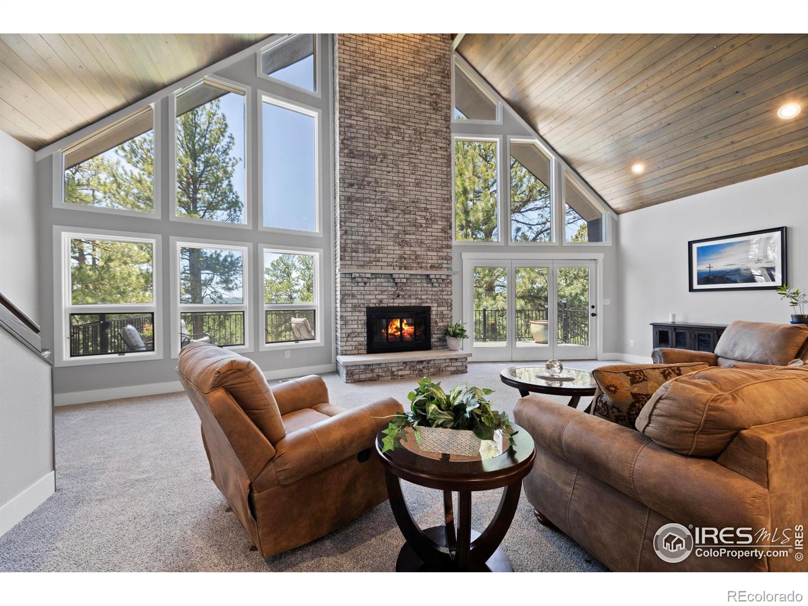 MLS Image #5 for 8987  village pines circle,franktown, Colorado