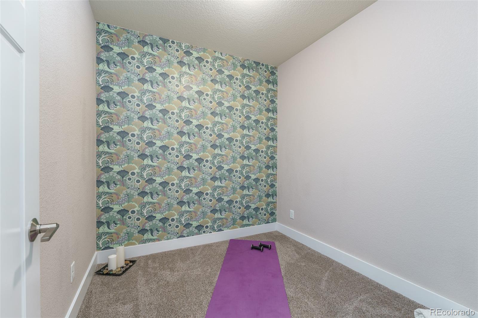 MLS Image #21 for 2868  kingston street,denver, Colorado