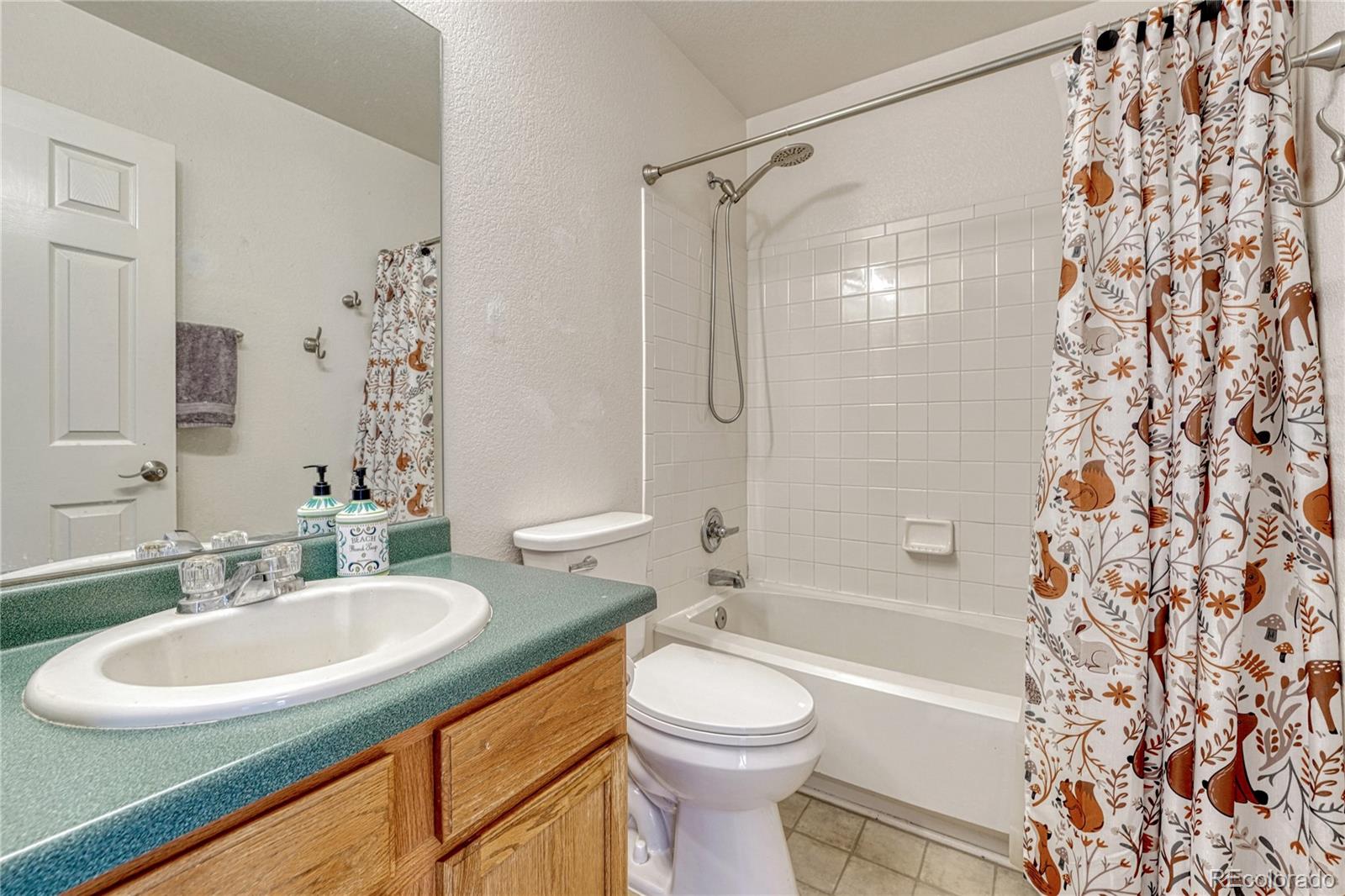 MLS Image #13 for 21789  farmingdale way,parker, Colorado