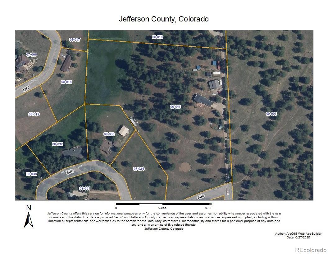 MLS Image #3 for 29263  sue road,evergreen, Colorado