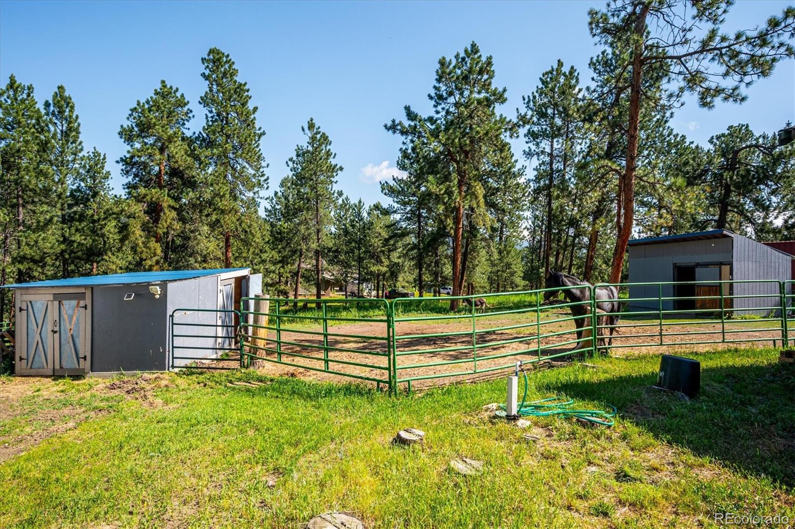 MLS Image #36 for 29263  sue road,evergreen, Colorado