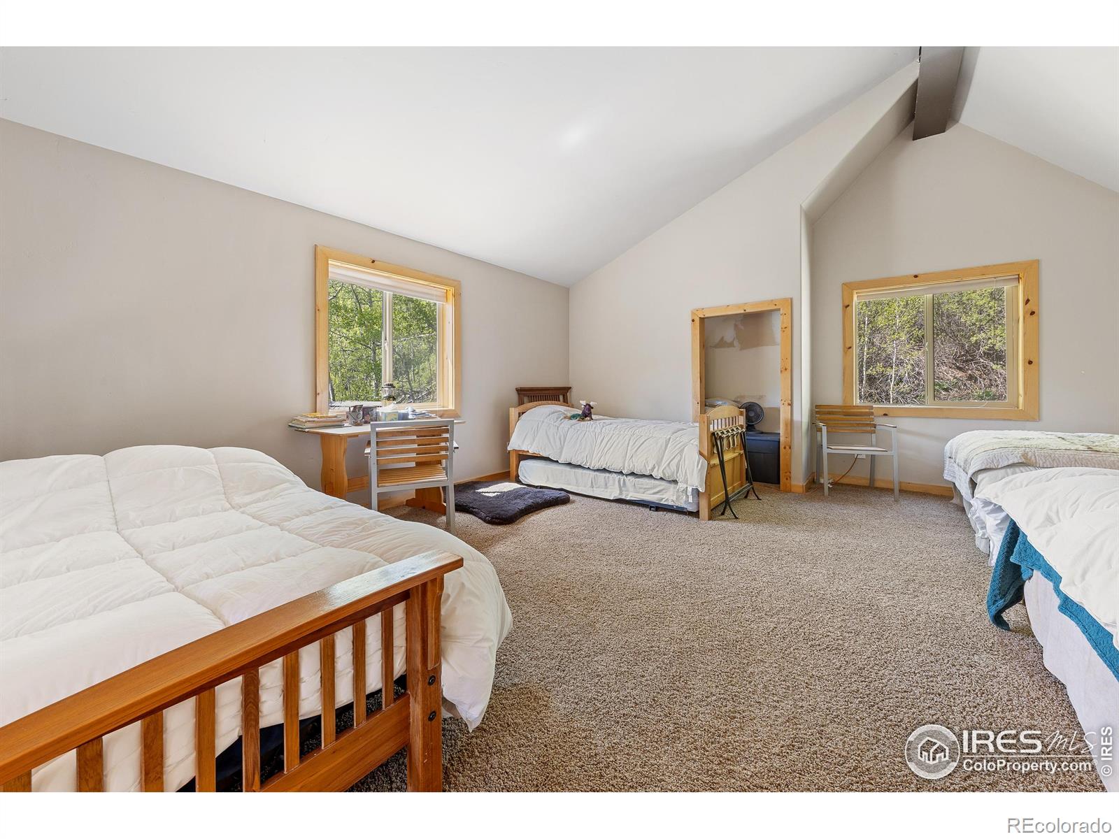 MLS Image #16 for 320  mill street,eagle, Colorado