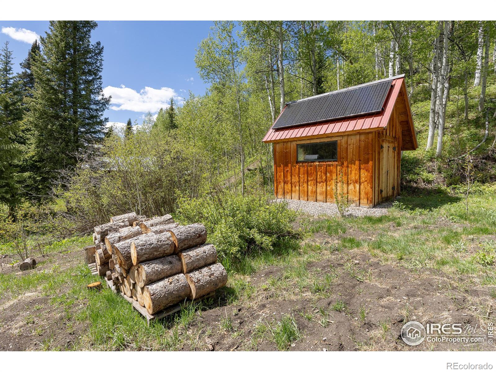 MLS Image #20 for 320  mill street,eagle, Colorado